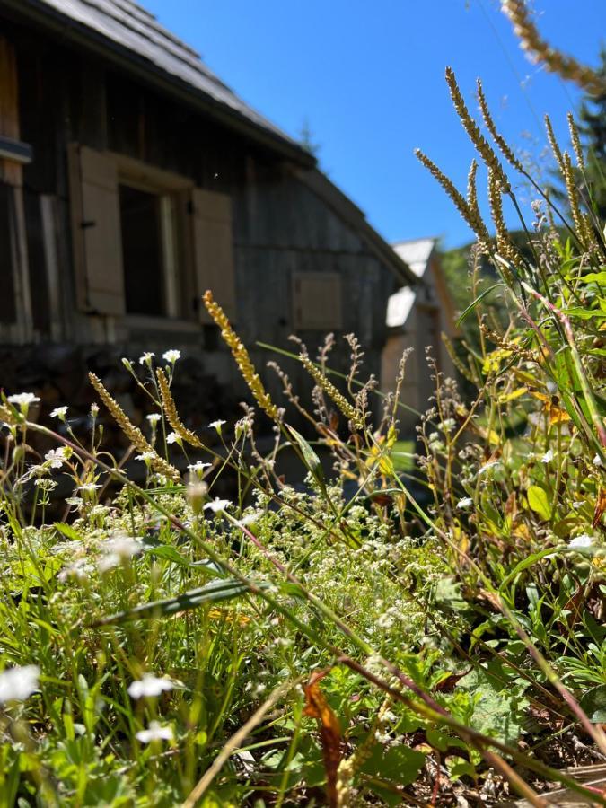 Chalet Velika Planina - I Feel Alps Stahovica 외부 사진